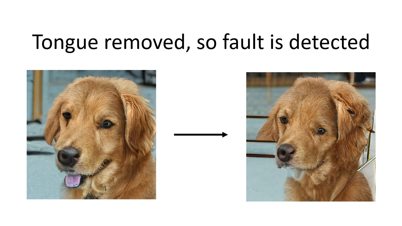 Detecting a fault in a deep neural network image classifier